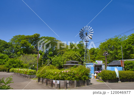 【神奈川県】ふれいあの森 120046977