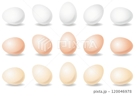 様々な卵・玉子・エッグのベクターイラストセット 様々な卵・玉子・エッグのベクターイラストセット 120046978