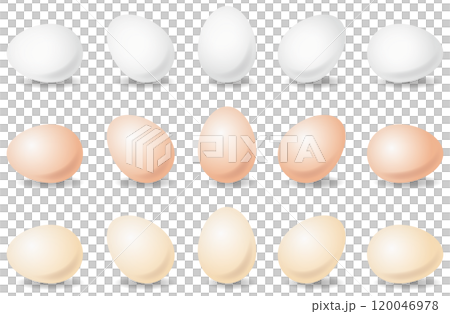 Vector illustration set of various eggs 120046978