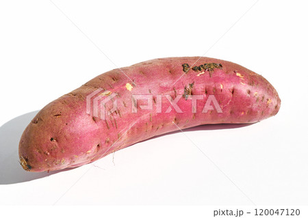 さつまいも(べにゆうか) さつまいも(べにゆうか) 120047120