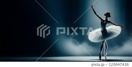 a ballet dancer performing on stage , grace and precision of ballet, highlighting the dancer's skill and the elegance of the costume, 120047438