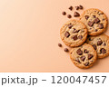 Top view of chocolate chip cookies on a solid background. 120047457