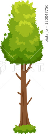 Cartoon illustration of a tall, lush green tree with a sturdy brown trunk and branches, set against a clean white background, creating a simple yet vibrant image Cartoon illustration of a tall, lush green tree with a sturdy brown trunk and branches, set against a clean white background, creating a simple yet vibrant image 120047750