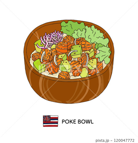ハワイ料理_ポキ丼の手描きイラスト ハワイ料理_ポキ丼の手描きイラスト 120047772