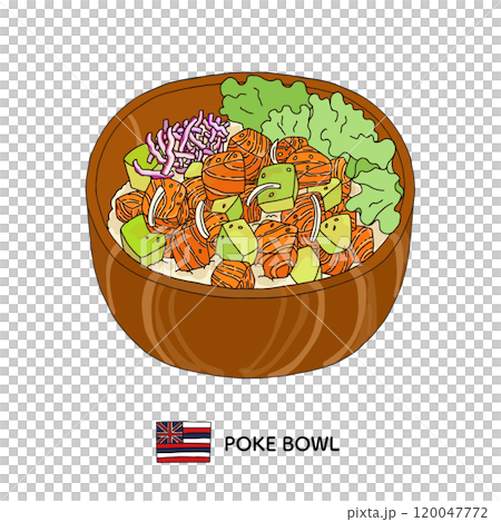 ハワイ料理_ポキ丼の手描きイラスト ハワイ料理_ポキ丼の手描きイラスト 120047772