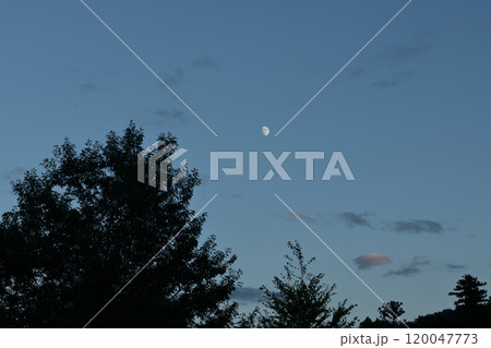 北杜市白州町、長月12日目、樹上の月齢11.0の月 北杜市白州町、長月12日目、樹上の月齢11.0の月 120047773