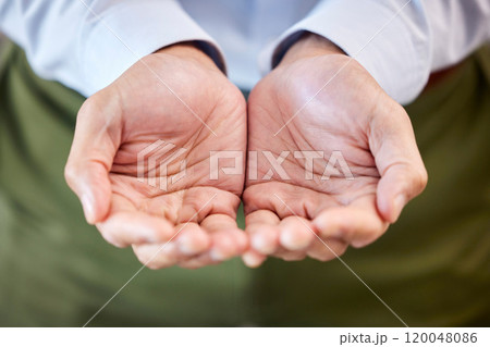 Support, offer and person with open hands at work for business aid, assistance and kindness. Office, and palms of company employee with gesture at NGO for charity, fundraising and hope in donation 120048086