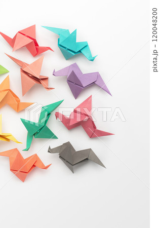 Art, studio and group with origami bird for handmade, creative design and geometric decoration. Japanese, craft and shape with animal bunch on white background for object, sculpture and folded figure 120048200
