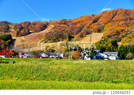 白馬岩岳マウンテンリゾート周辺を望む(長野県白馬村)【2024.11】 白馬岩岳マウンテンリゾート周辺を望む(長野県白馬村)【2024.11】 120048281