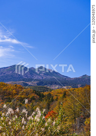 晩秋の一ノ瀬園地から見る乗鞍岳　 120048975