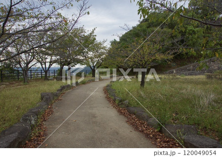 亀島山の夕暮れ 水島工場地帯 花と緑の丘公園 亀島山の夕暮れ 水島工場地帯 花と緑の丘公園 120049054