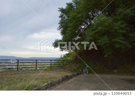 亀島山の夕暮れ　水島工場地帯　花と緑の丘公園 120049055