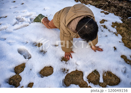寒い冬のイメージ 寒い冬のイメージ 120049156