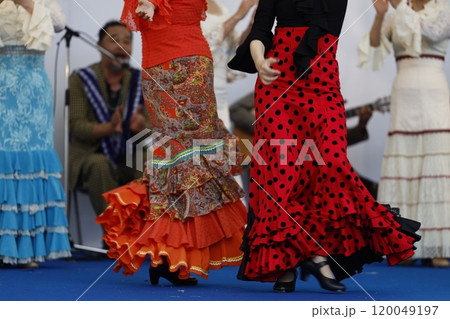 フラメンコ フラメンコ 120049197