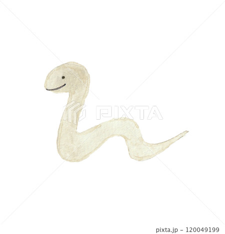 水彩絵の具で描いた白い蛇 水彩絵の具で描いた白い蛇 120049199