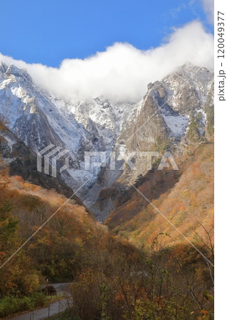 晩秋の一ノ倉沢 冠雪の谷川岳を背景とした三段紅葉 120049377