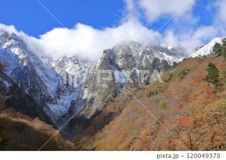 晩秋の一ノ倉沢 冠雪の谷川岳を背景とした三段紅葉 120049378