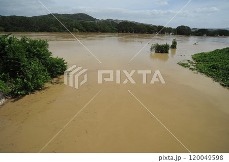 増水した淀川　桂川 120049598