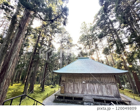 福井県白山国立公園特別指定区域　平泉寺白山神社 120049809