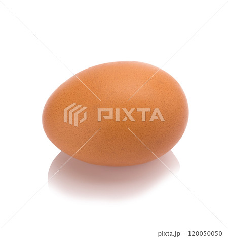 Egg. Isolated on white background Egg. Isolated on white background 120050050