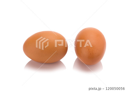 Egg. Isolated on white background 120050056