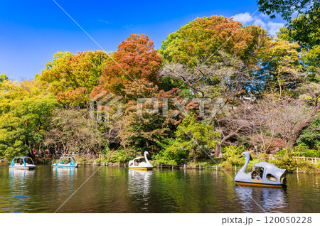 吉祥寺 秋の井の頭公園 吉祥寺 秋の井の頭公園 120050228
