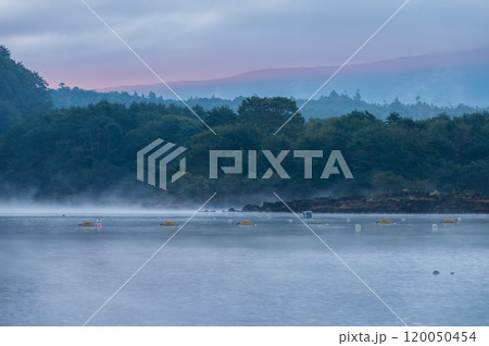 早朝の精進湖の風景　 120050454