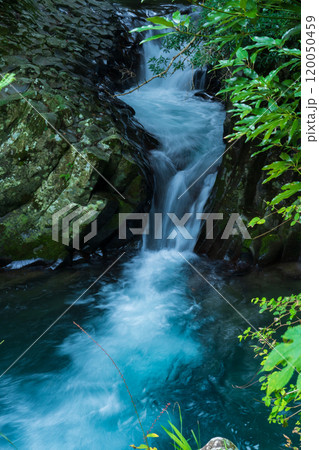 静岡県河津町 河津七滝 出合滝 静岡県河津町 河津七滝 出合滝 120050459