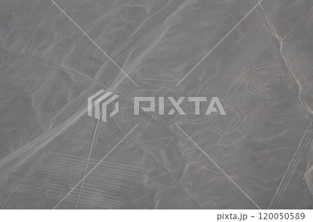 【ペルー】ナスカの地上絵 120050589