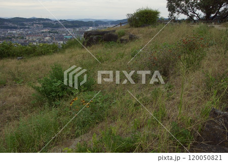 亀島山　花と緑の丘公園　夕景 120050821