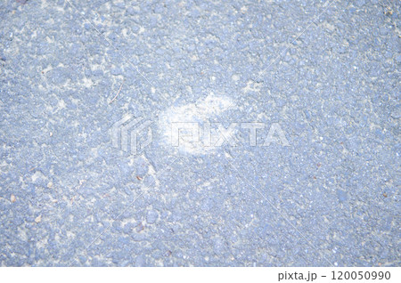 アスファルトに残ったイノシシの足跡 120050990