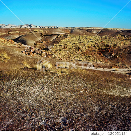 Bleak Landscape Petrified Forest National Park Arizona on Film 120051124