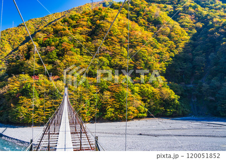 【静岡県】紅葉が美しい畑薙湖 畑薙大吊橋 【静岡県】紅葉が美しい畑薙湖 畑薙大吊橋 120051852