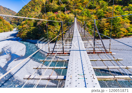 【静岡県】紅葉が美しい畑薙湖 畑薙大吊橋 【静岡県】紅葉が美しい畑薙湖 畑薙大吊橋 120051871