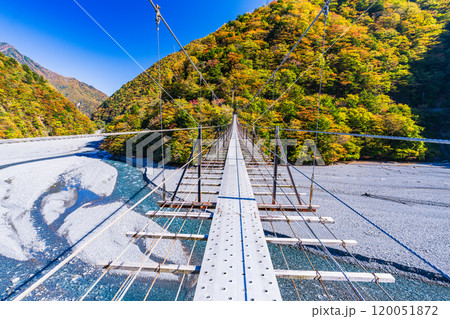 【静岡県】紅葉が美しい畑薙湖　畑薙大吊橋 120051872