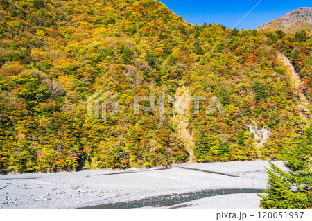 【静岡県】紅葉が美しい畑薙湖　畑薙大吊橋から眺める上流部 120051937
