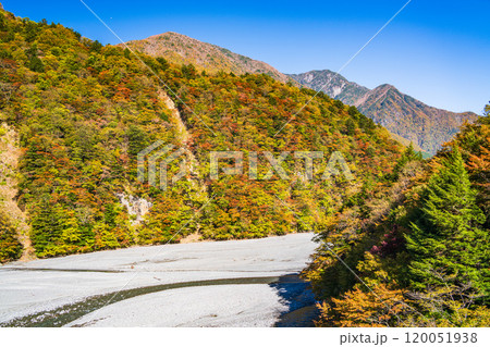 【静岡県】紅葉が美しい畑薙湖 畑薙大吊橋から眺める上流部 【静岡県】紅葉が美しい畑薙湖 畑薙大吊橋から眺める上流部 120051938