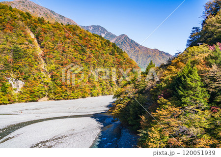 【静岡県】紅葉が美しい畑薙湖 畑薙大吊橋から眺める上流部 【静岡県】紅葉が美しい畑薙湖 畑薙大吊橋から眺める上流部 120051939