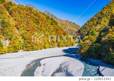 【静岡県】紅葉が美しい畑薙湖　畑薙大吊橋から眺める上流部 120051941