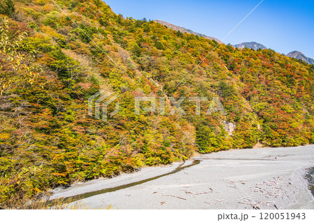 【静岡県】紅葉が美しい畑薙湖　畑薙大吊橋から眺める上流部 120051943