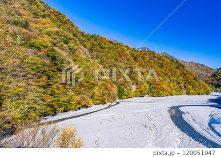 【静岡県】紅葉が美しい畑薙湖　畑薙大吊橋から眺める上流部 120051947