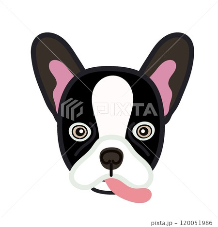 フレンチブルドッグの顔イラスト フレンチブルドッグの顔イラスト 120051986