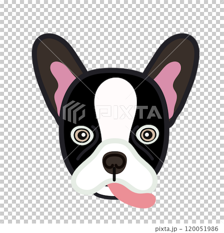 フレンチブルドッグの顔イラスト フレンチブルドッグの顔イラスト 120051986