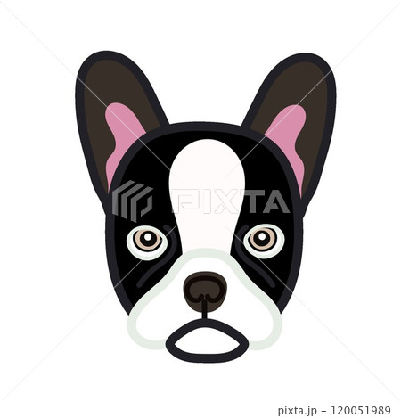 フレンチブルドッグの顔イラスト 120051989