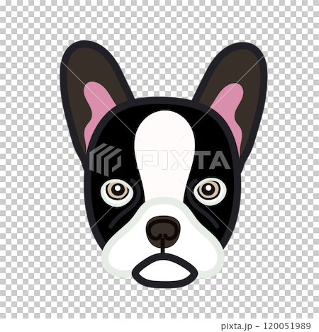 フレンチブルドッグの顔イラスト 120051989