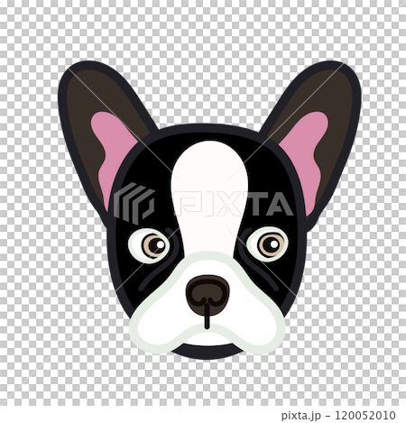 法國鬥牛犬臉圖 120052010