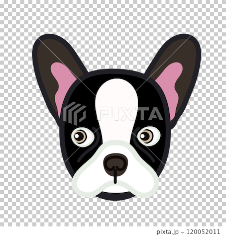 法國鬥牛犬臉圖 120052011