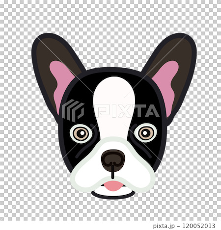 法國鬥牛犬臉圖 120052013