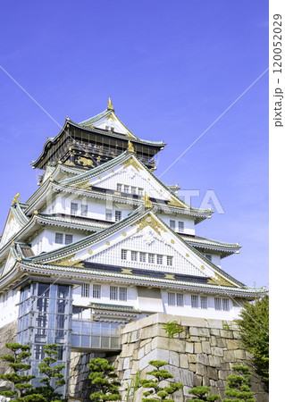 大阪城天守閣（大阪府大阪市） 120052029