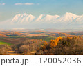 初冠雪の十勝岳連峰と秋の美瑛の丘 120052036